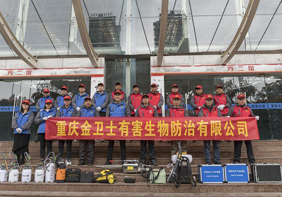 白蟻防治協(xié)會(huì)技術(shù)顧問(wèn)用滅蟻粉劑治理散白蟻的具體操作方法