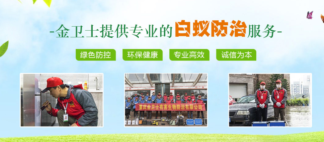 春季3月時(shí)期，白蟻消殺工作任重而道遠(yuǎn)  ?